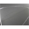 PORTE ARRIERE GAUCHE RENAULT CLIO III PH.2 ESTATE 09-14