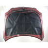 CAPOT LEXUS IS
