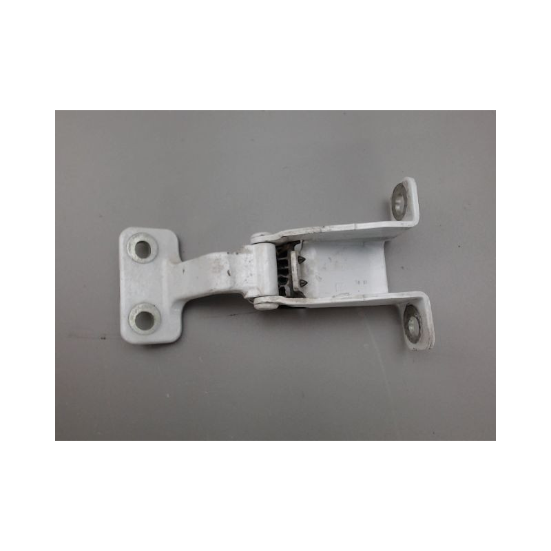 CHARNIERE INF PORTE BATTANTE ARG RENAULT KANGOO
