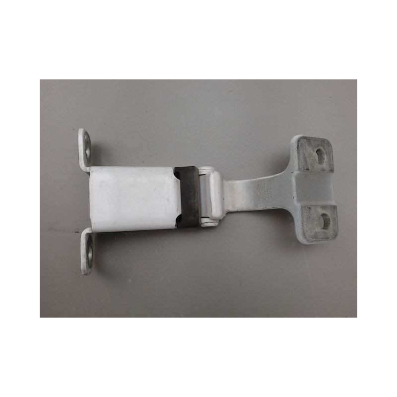 CHARNIERE INF PORTE BATTANTE ARG RENAULT KANGOO