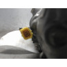 COMPRESSEUR AIR CONDITIONNE PEUGEOT 206 3P