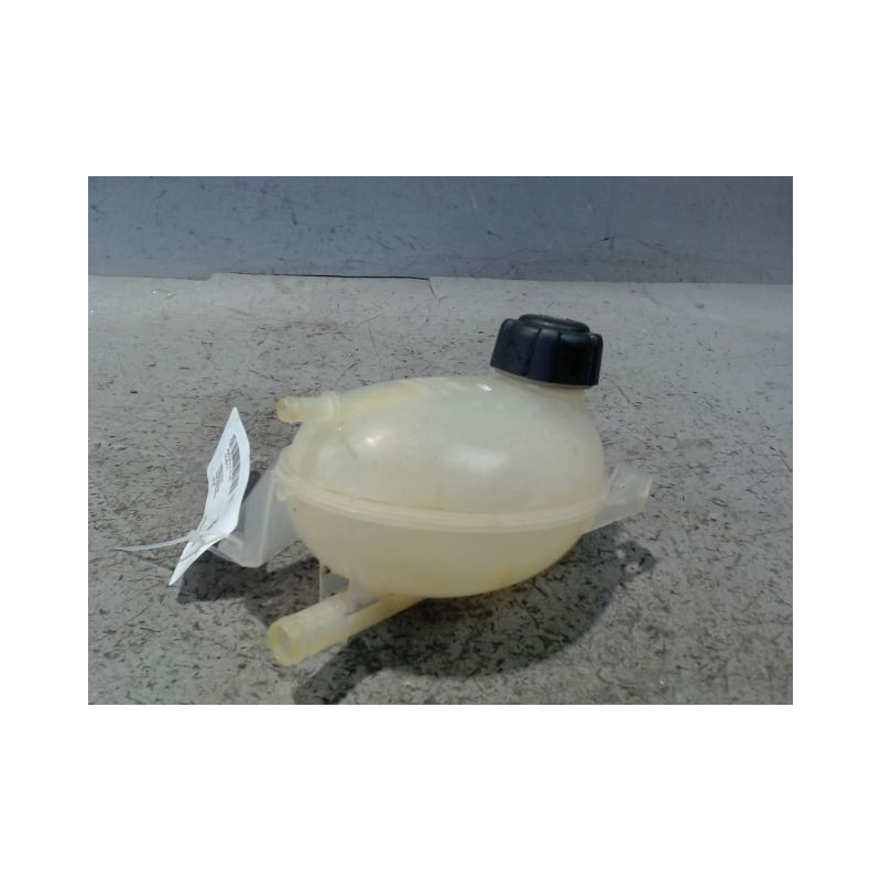VASE EXPANSION RENAULT CLIO IV