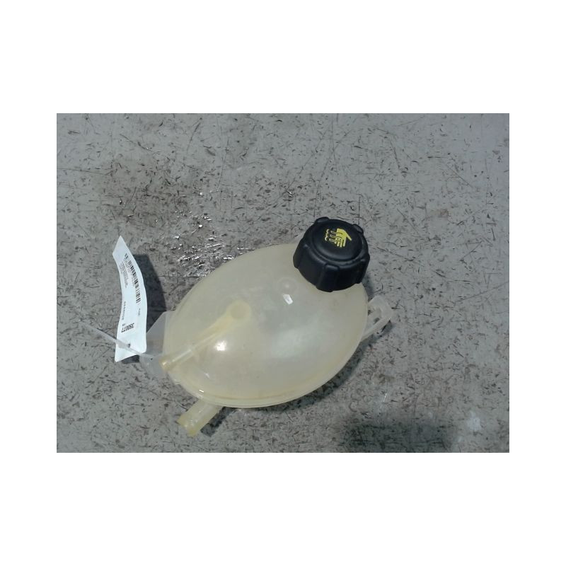 VASE EXPANSION RENAULT CLIO IV