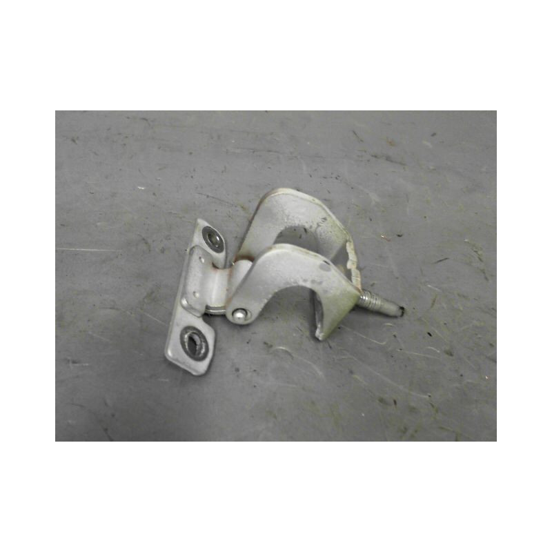 CHARNIERE HAYON D PEUGEOT 206
