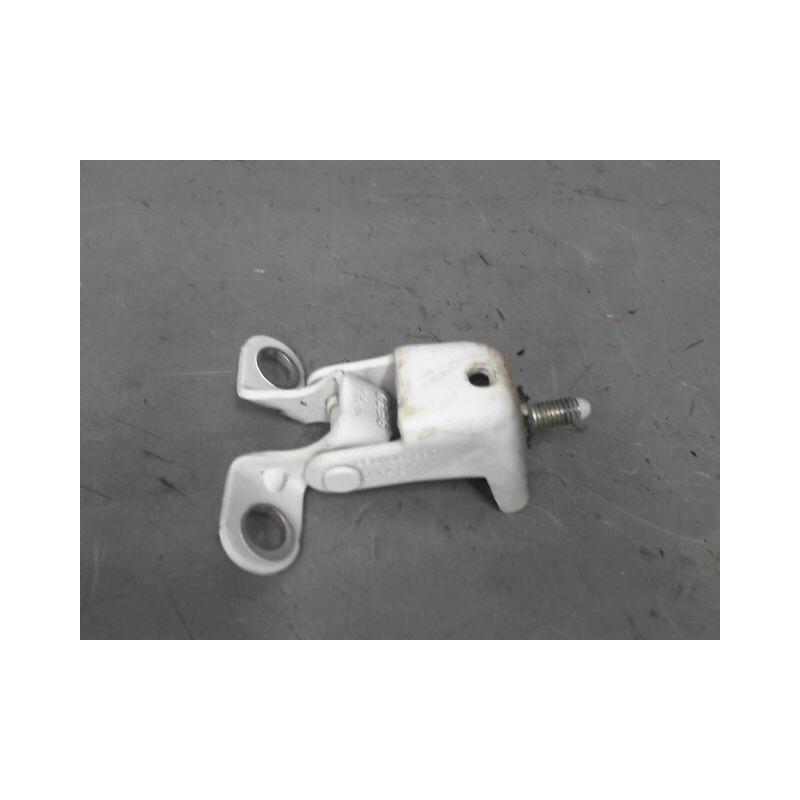 CHARNIERE HAYON G PEUGEOT 208