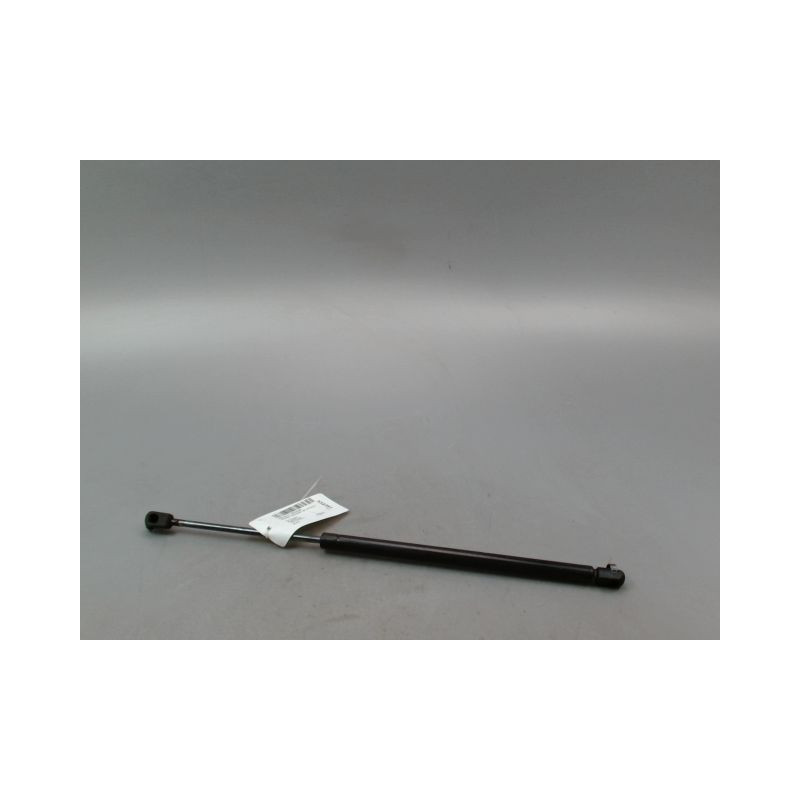 VERIN HAYON G RENAULT SCENIC MONOSP. II Phase 1 2003-2006