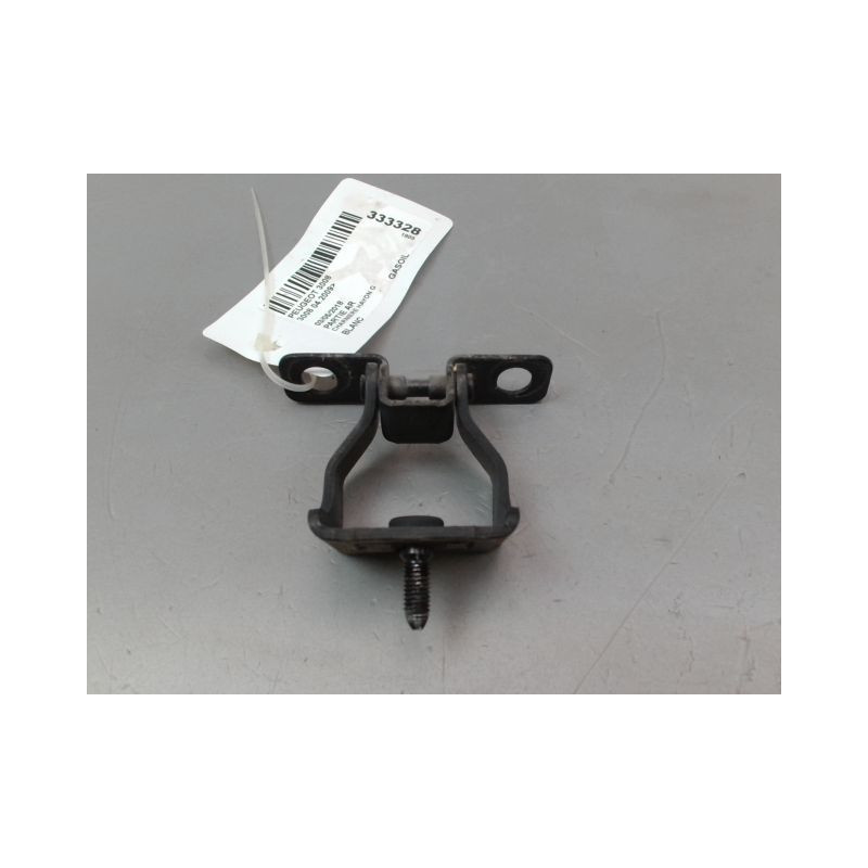 CHARNIERE HAYON G PEUGEOT 3008 2009-