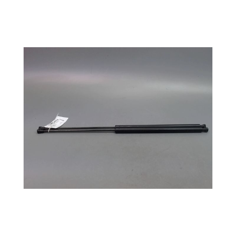 VERIN HAYON G CITROEN XSARA PICASSO MONOSP. 1999-2010