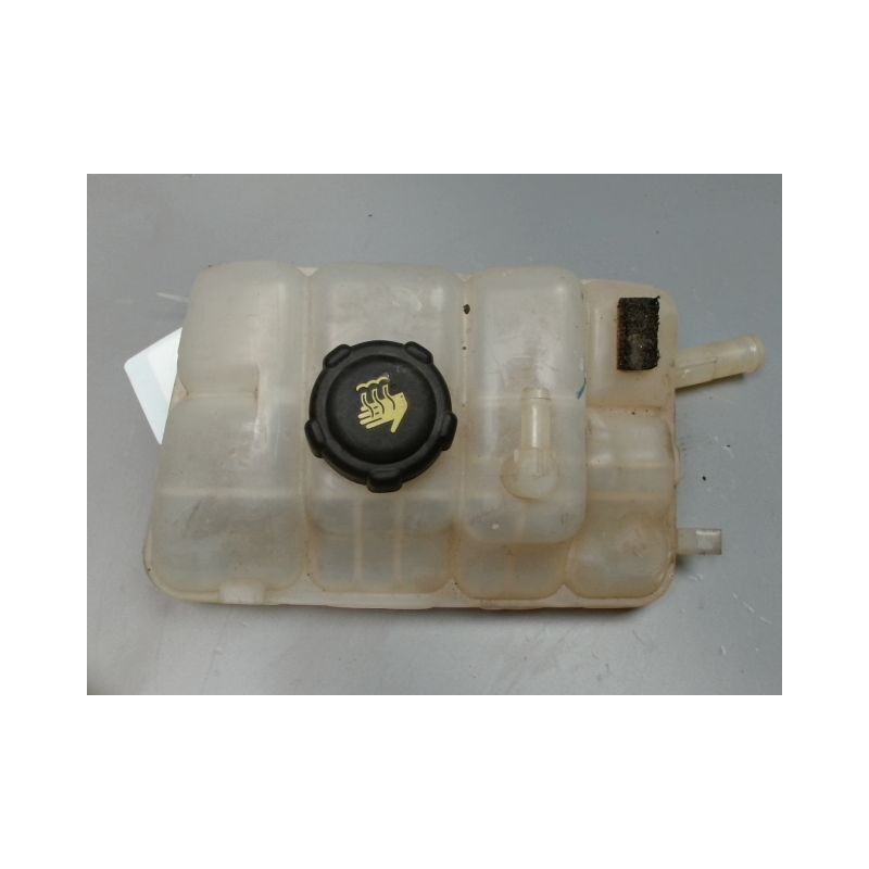 VASE EXPANSION RENAULT MEGANE