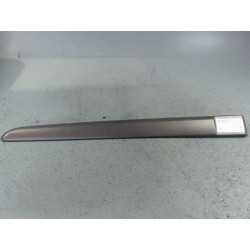 PROTECTION PORTE ARG