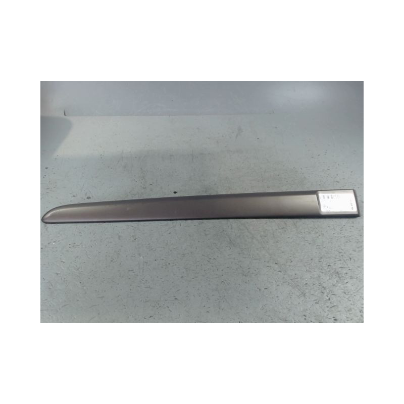 PROTECTION PORTE ARRIERE GAUCHE RENAULT MODUS LONGUE 2008-