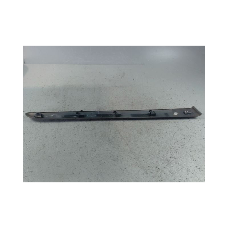 PROTECTION PORTE ARRIERE GAUCHE RENAULT MODUS LONGUE 2008-