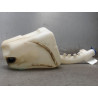 RESERVOIR LAVE-GLACE AVANT FORD FIESTA 2005-