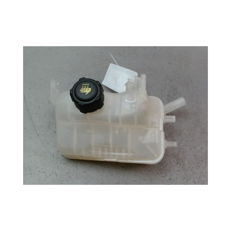 VASE EXPANSION RENAULT GRAND SCENIC MONOSP. III Phase 1 LONG 2009-2011