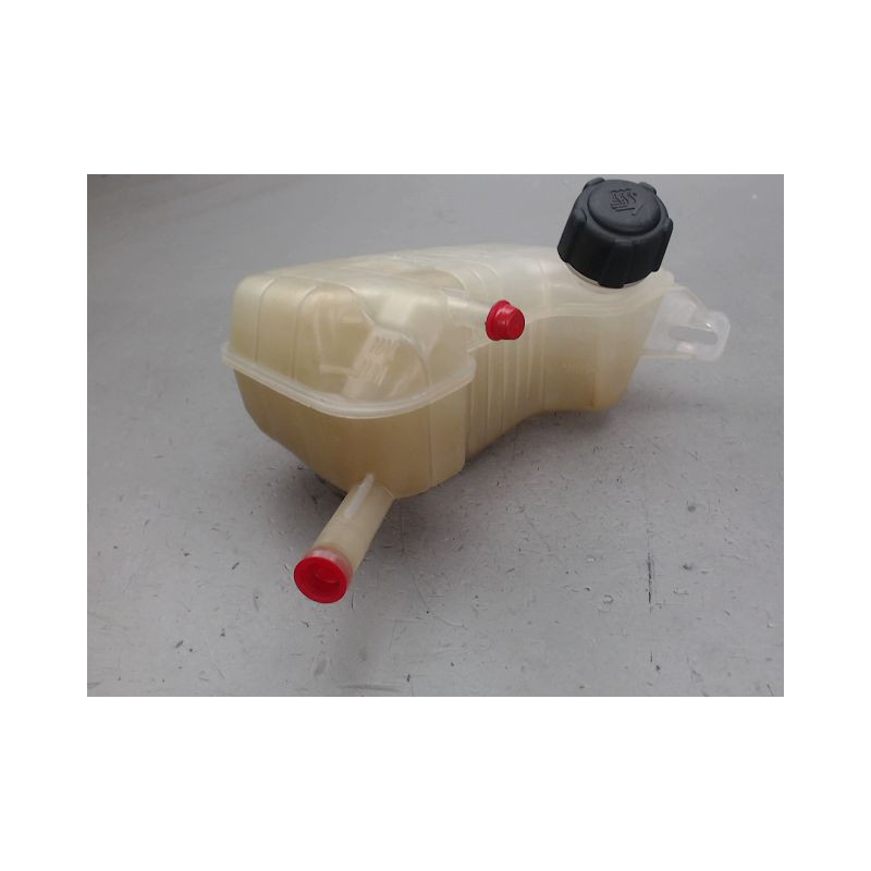 VASE EXPANSION RENAULT MEGANE