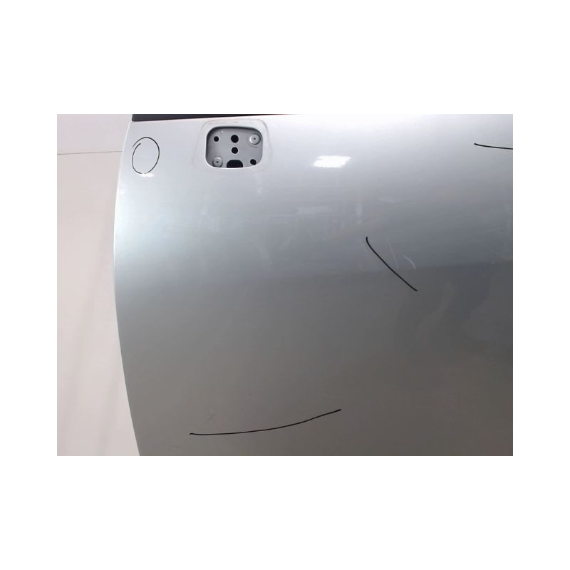PORTE AVANT GAUCHE RENAULT MEGANE