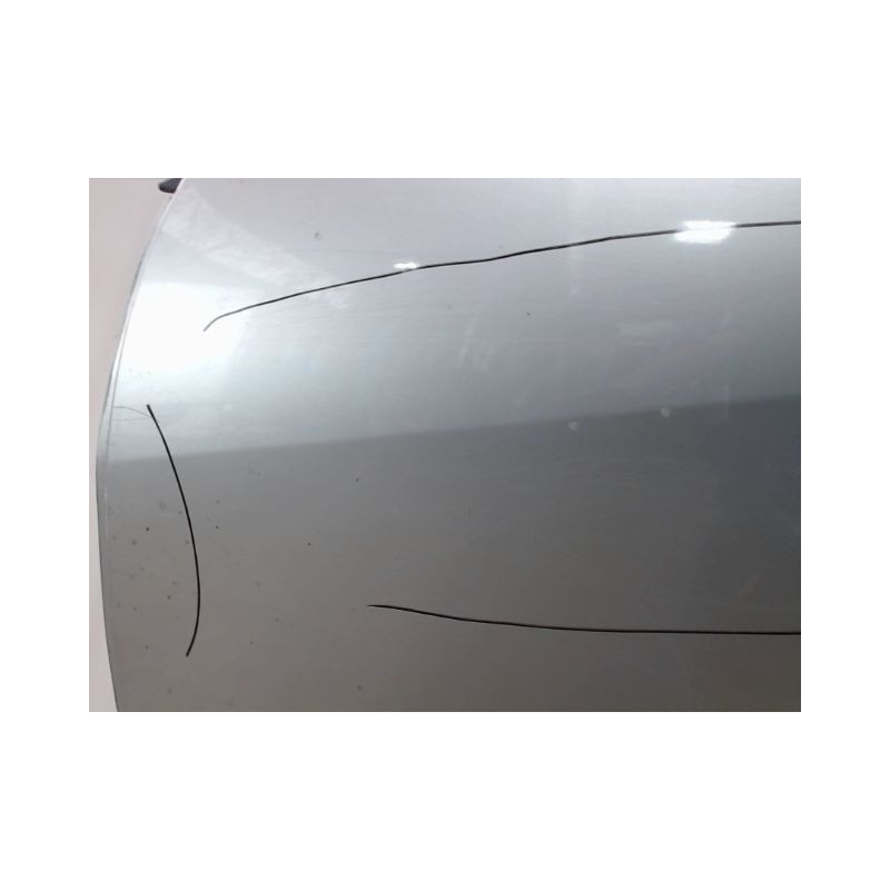 PORTE ARRIERE GAUCHE RENAULT MEGANE