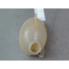 VASE EXPANSION DACIA SANDERO II Phase 1 2012-...