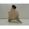 VASE EXPANSION CITROEN C3