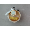 VASE EXPANSION RENAULT R21 BERL. Phase 2 1989-1994