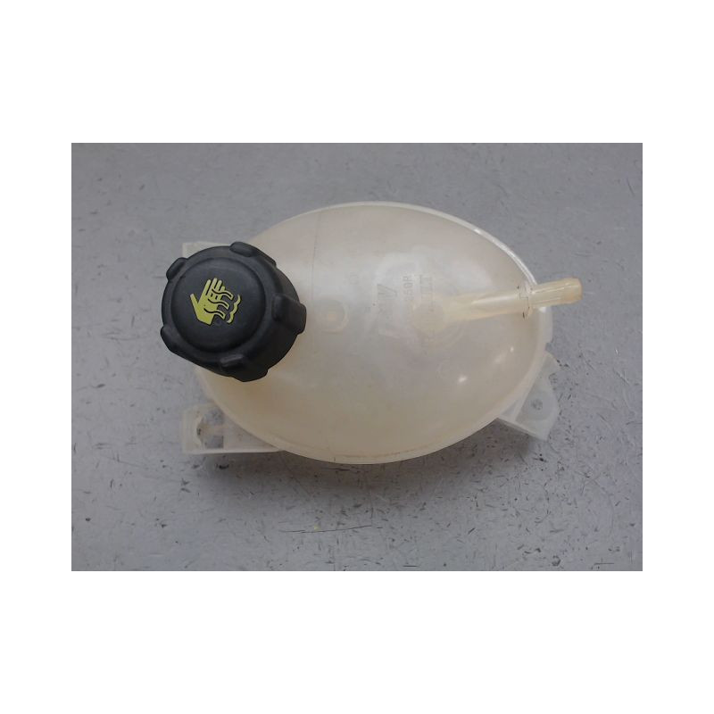 VASE EXPANSION RENAULT CAPTUR