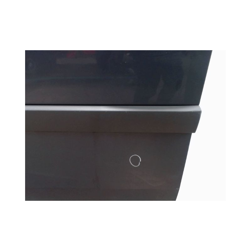 PORTE AVANT GAUCHE RENAULT SCENIC II PH2 2006-