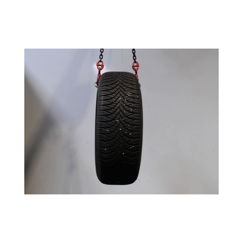Pneu GOODRIDE ALL SEASON ELITE Z-401 205 55 16 91 V