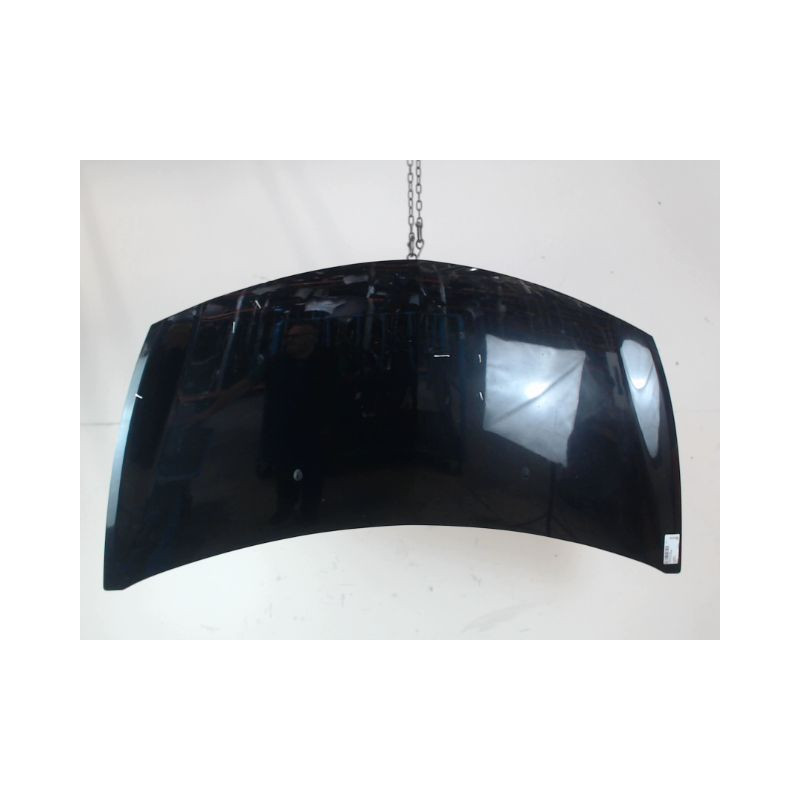 CAPOT RENAULT CLIO III 2009-