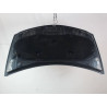 CAPOT RENAULT CLIO III 2009-