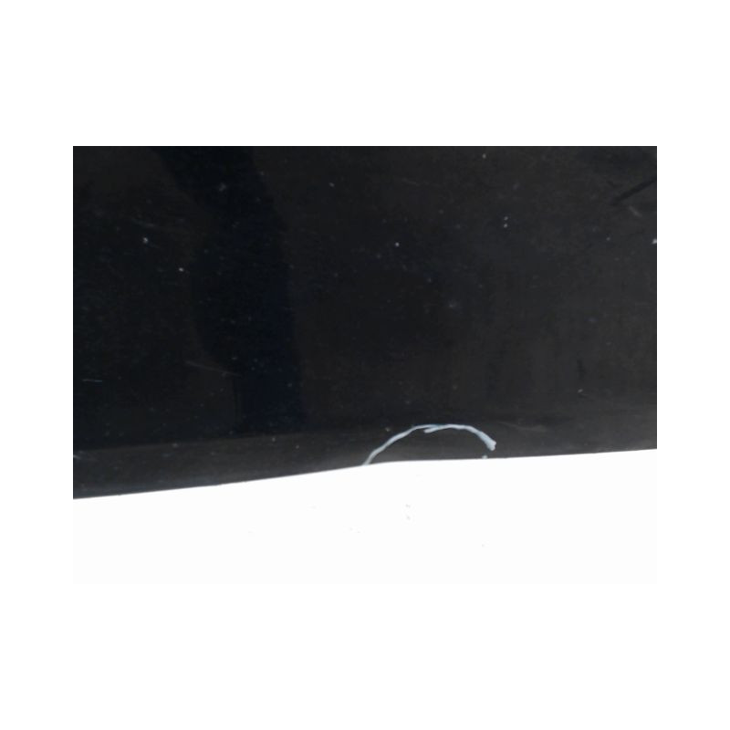 PORTE AVANT DROIT RENAULT CLIO III 2009-