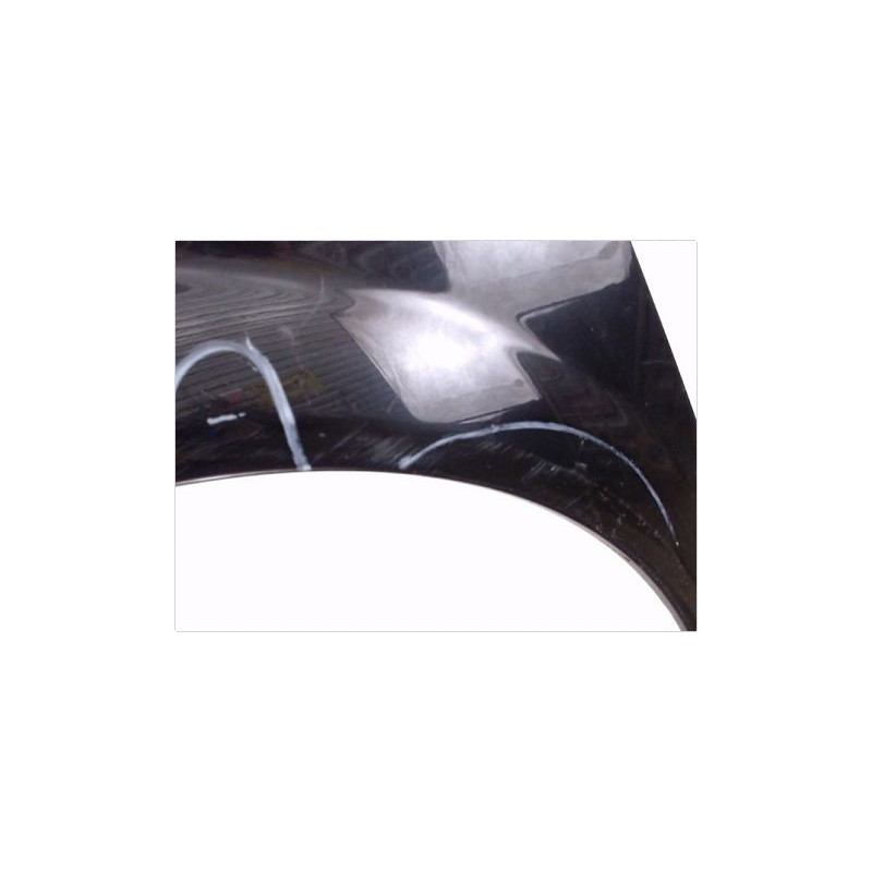 AILE AVANT GAUCHE RENAULT GRD SCENIC II PH2 06-09