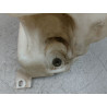 RESERVOIR LAVE-GLACE AVANT VOLKSWAGEN GOLF IV 98-2004