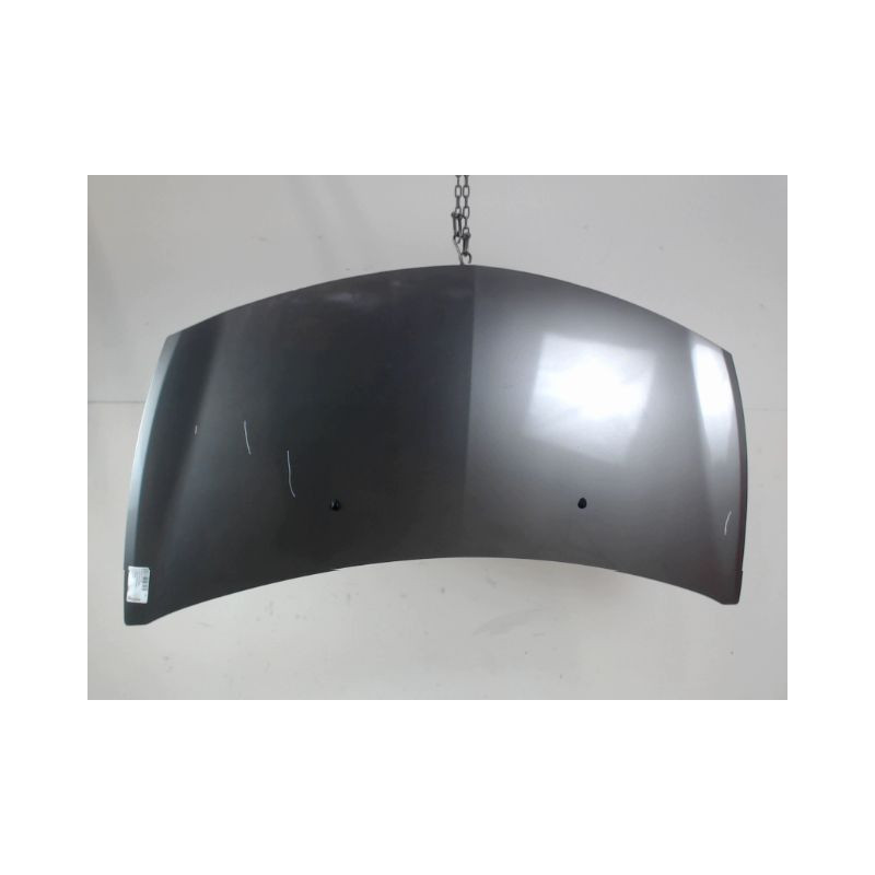 CAPOT RENAULT CLIO III 2009-