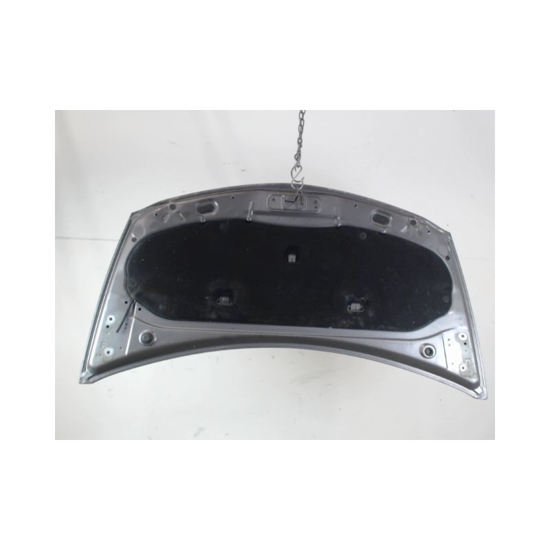 CAPOT RENAULT CLIO III 2009-