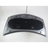 CAPOT RENAULT CLIO III 2009-