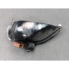 FEU RECUL DROIT RENAULT SCENIC III 2009-
