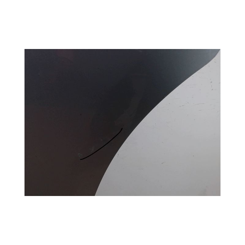 PORTE ARRIERE GAUCHE CITROEN C3 2009-