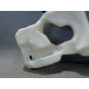 RESERVOIR LAVE-GLACE AVANT MINI MINI 2010-