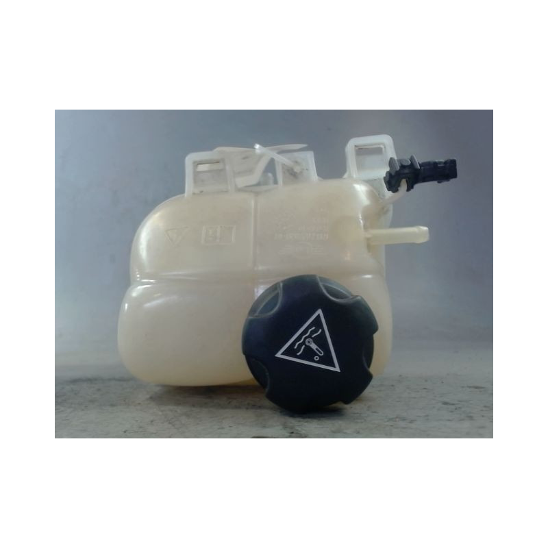 VASE EXPANSION MINI MINI 2010-