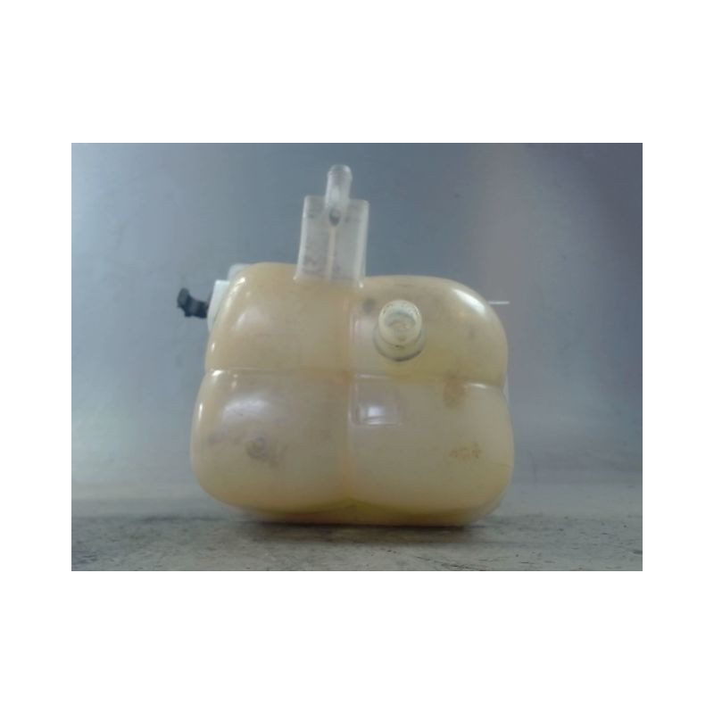 VASE EXPANSION MINI MINI 2010-