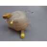 VASE EXPANSION OPEL CORSA