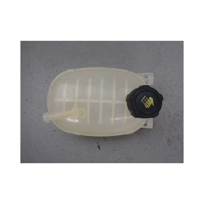 VASE EXPANSION RENAULT CLIO