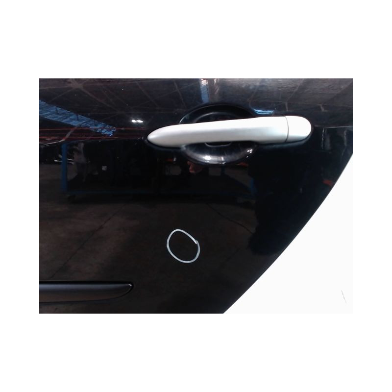 PORTE ARRIERE GAUCHE RENAULT CLIO III 2009-