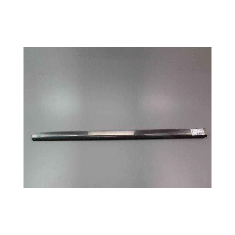 PROTECTION PORTE AVANT GAUCHE RENAULT CLIO