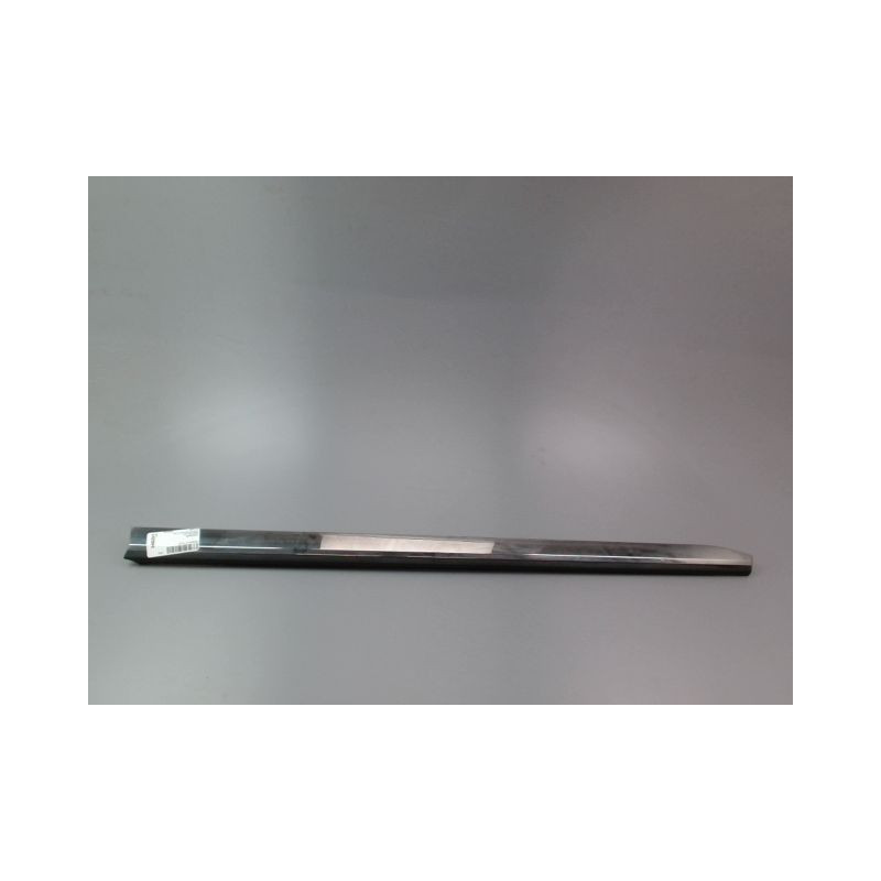 PROTECTION PORTE AVANT DROIT RENAULT CLIO