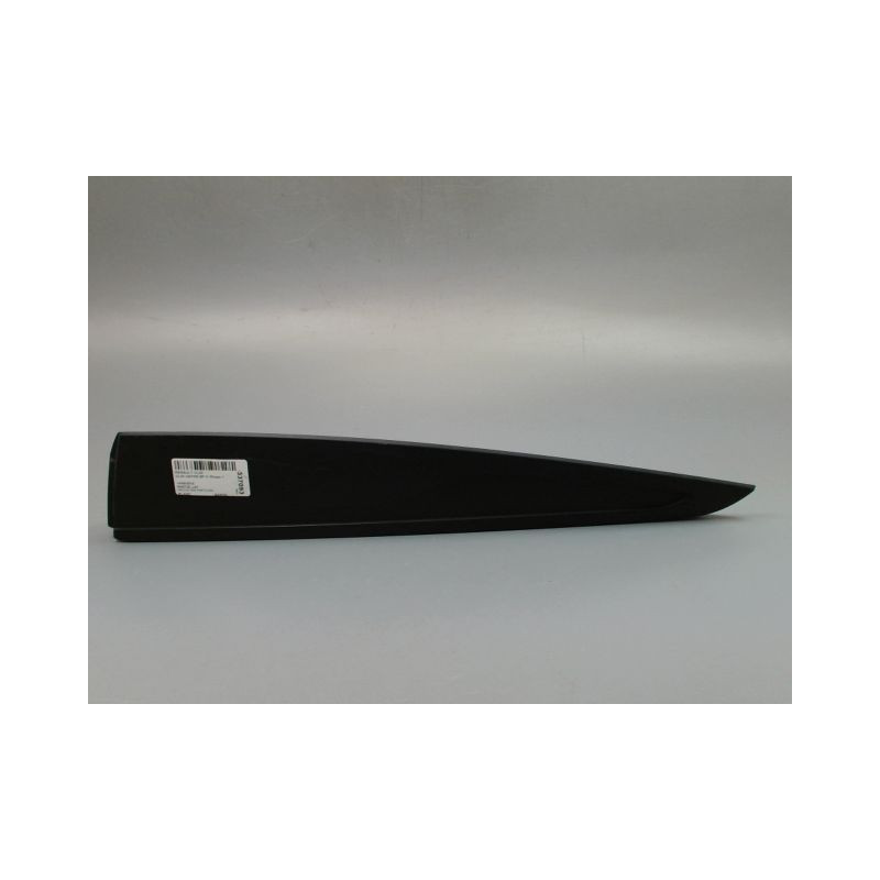 PROTECTION PORTE ARRIERE GAUCHE RENAULT CLIO IV Phase 1 2012-...