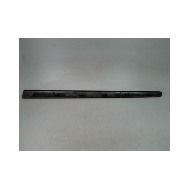 PROTECTION PORTE AVANT GAUCHE CITROEN C3 I Phase 2 2005-2010