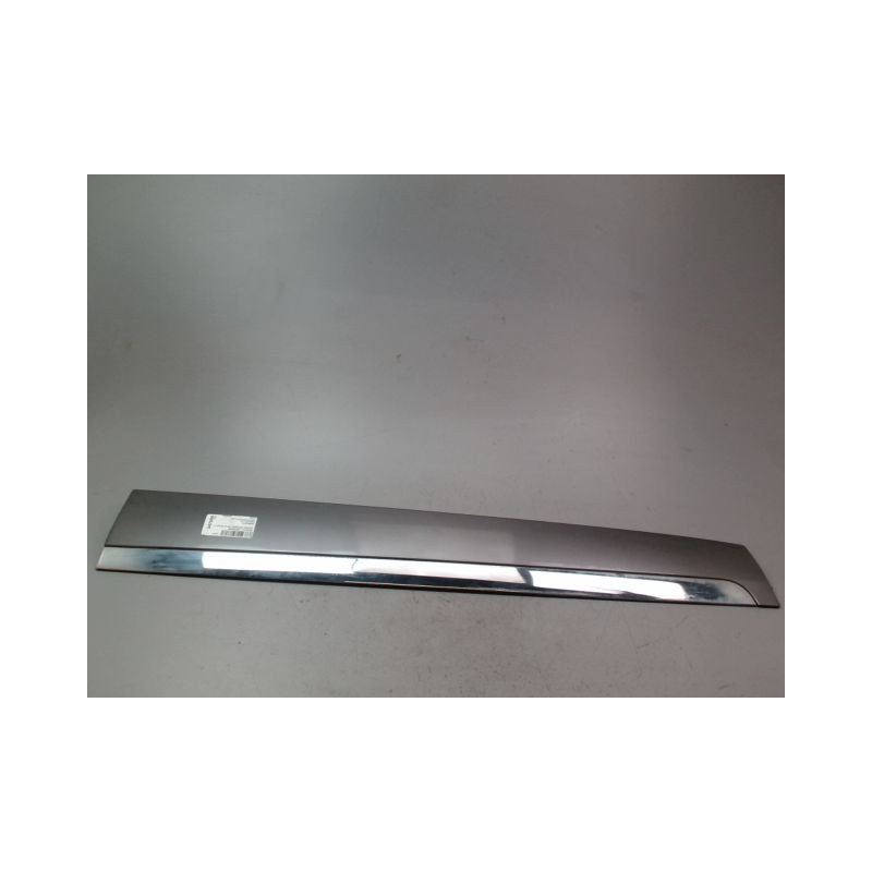 PROTECTION PORTE AVANT GAUCHE RENAULT SCENIC MONOSP. III Phase 3 2013-...