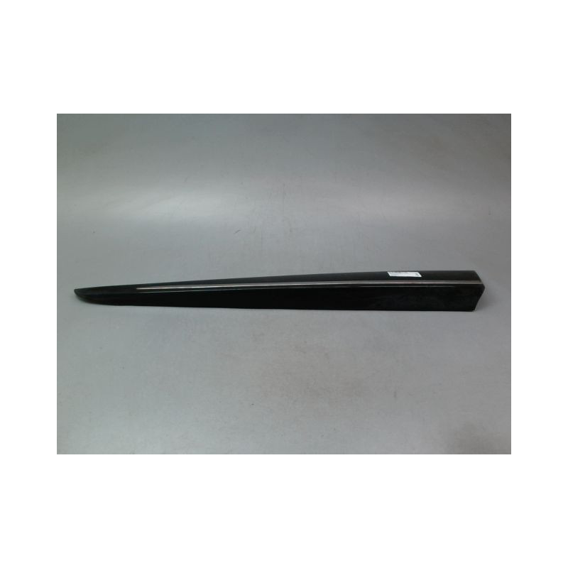 PROTECTION PORTE AVANT GAUCHE RENAULT CLIO IV Phase 1 2012-...