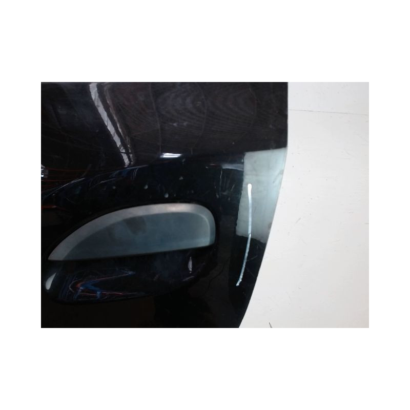 PORTE ARRIERE GAUCHE DACIA SANDERO